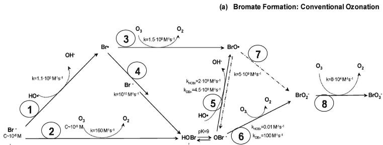 Bromate formation with conventional ozonation (Buffle et al., 2004)