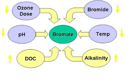 Factors Affecting Bromate Formation in Ozone Water Treatment