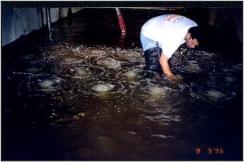 Testing Bubble Pattern