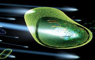 UV Irradiation of a Cell